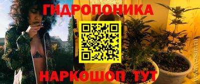 стафф Рыбинск