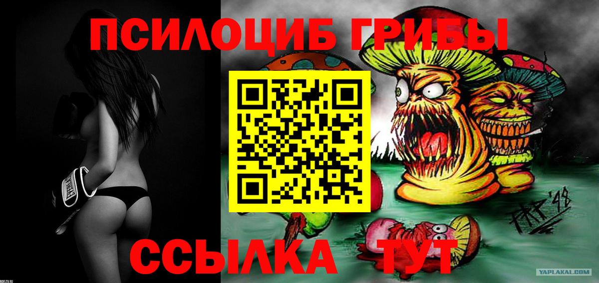 Псилоцибиновые грибы Psilocybe Анапа